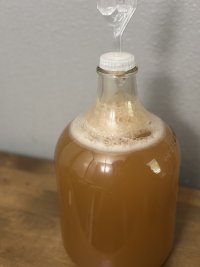 IMG_0029.jpeg