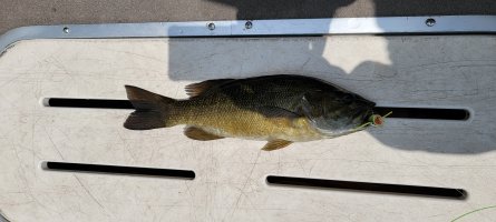 12june2025_fishing_5.jpg