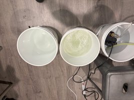 Cleaner.jpeg