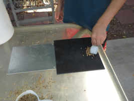 BeerCamp2015.gif