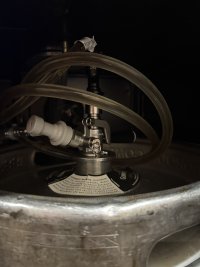 IMG_0221.jpeg