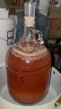 IMG_4773.jpeg