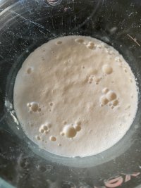 IMG_8684.jpeg