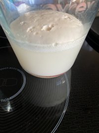 IMG_8683.jpeg