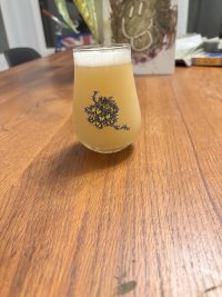 IMG_1300.jpeg