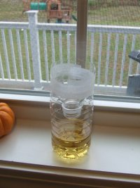 DIY-fruit-fly-trap.jpg