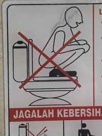 IMG_9083.jpeg