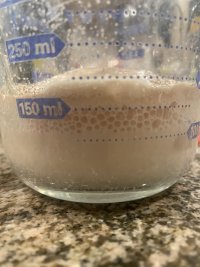 IMG_8189.jpeg