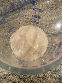 IMG_8187.jpeg