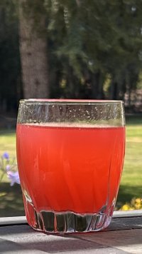 IMG_5867.jpeg