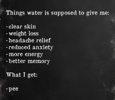 drink more beer.jpg