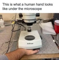 1752106331837.jpeg