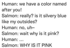 1752526247240.png