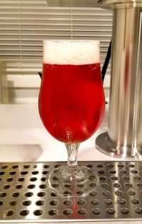 raspbiscus_17jul2025.jpg