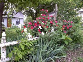 Uncle Davids well fence.jpg