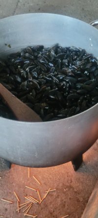 20250720_204242.jpg