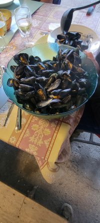 20250720_211208.jpg