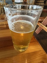 IMG_8307.jpeg