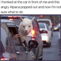1753269971605.png