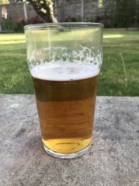 IMG_7711.jpeg