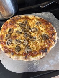 IMG_7672.jpeg