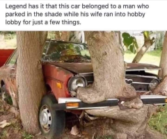 1753465506535.png