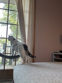 IMG_8503.jpeg