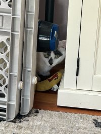 IMG_2325.jpeg