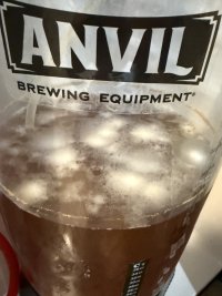 IMG_3764.jpeg