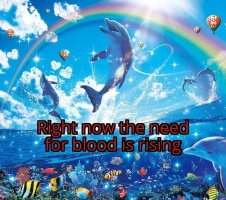 Rainbow Symphony Dolphin 29072025132202.jpg