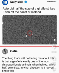 1754169112375.png