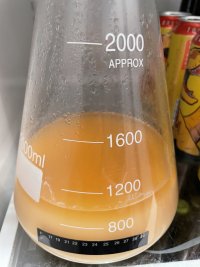 IMG_8601.jpeg