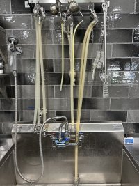 IMG_5517.jpeg