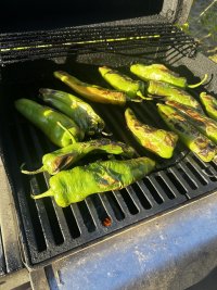IMG_3489.jpeg