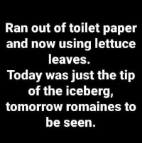 Toilet paper.jpg