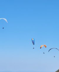 20250810_143919.jpg