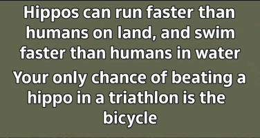 1755130756410.png