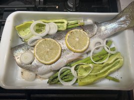 IMG_2680.jpeg
