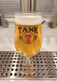 cold_ipa_14aug2025.jpg