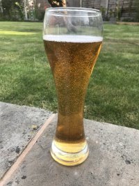 IMG_7781.jpeg