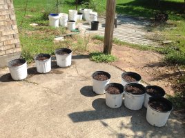 IMG_2368[1].JPG