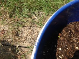 IMG_2369[1].JPG