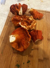 IMG_3526.jpeg