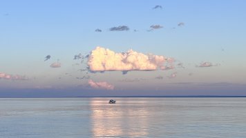 IMG_6041.jpeg