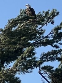 IMG_2602.jpeg