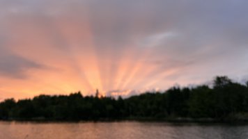 IMG_6076.jpeg