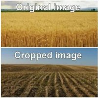 1756671938797.jpeg