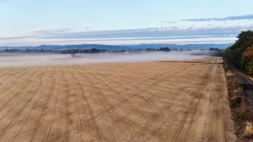 dji_fly_20250831_065722_0279_1756678258054_photo.jpg