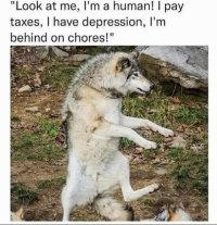 IMG_2728.jpeg