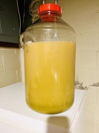 IMG_6087.jpeg